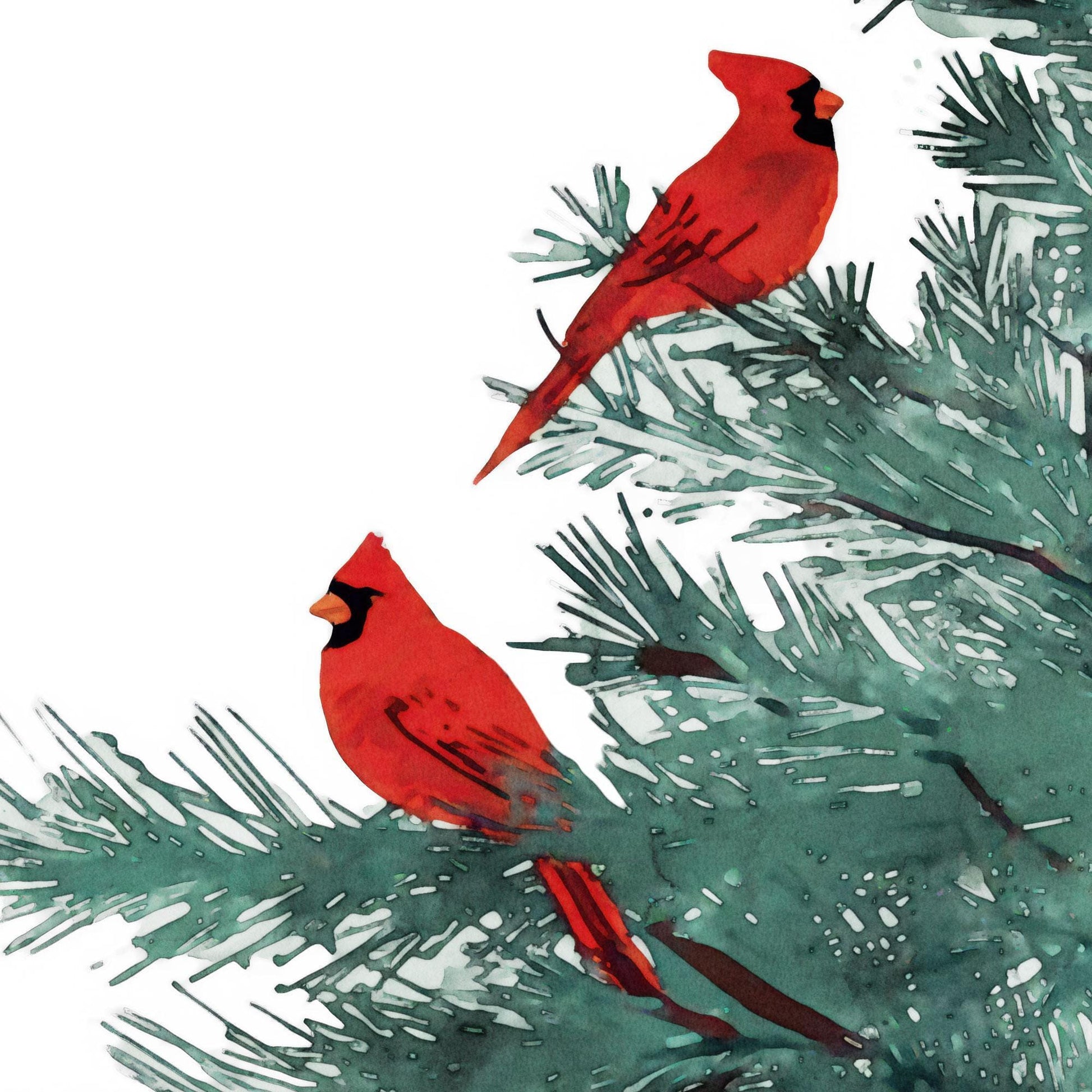 Close-up view of an illustration showing two red cardinals perched on pine tree branches, highlighting the rich green needles and detailed watercolor texture of the artwork.