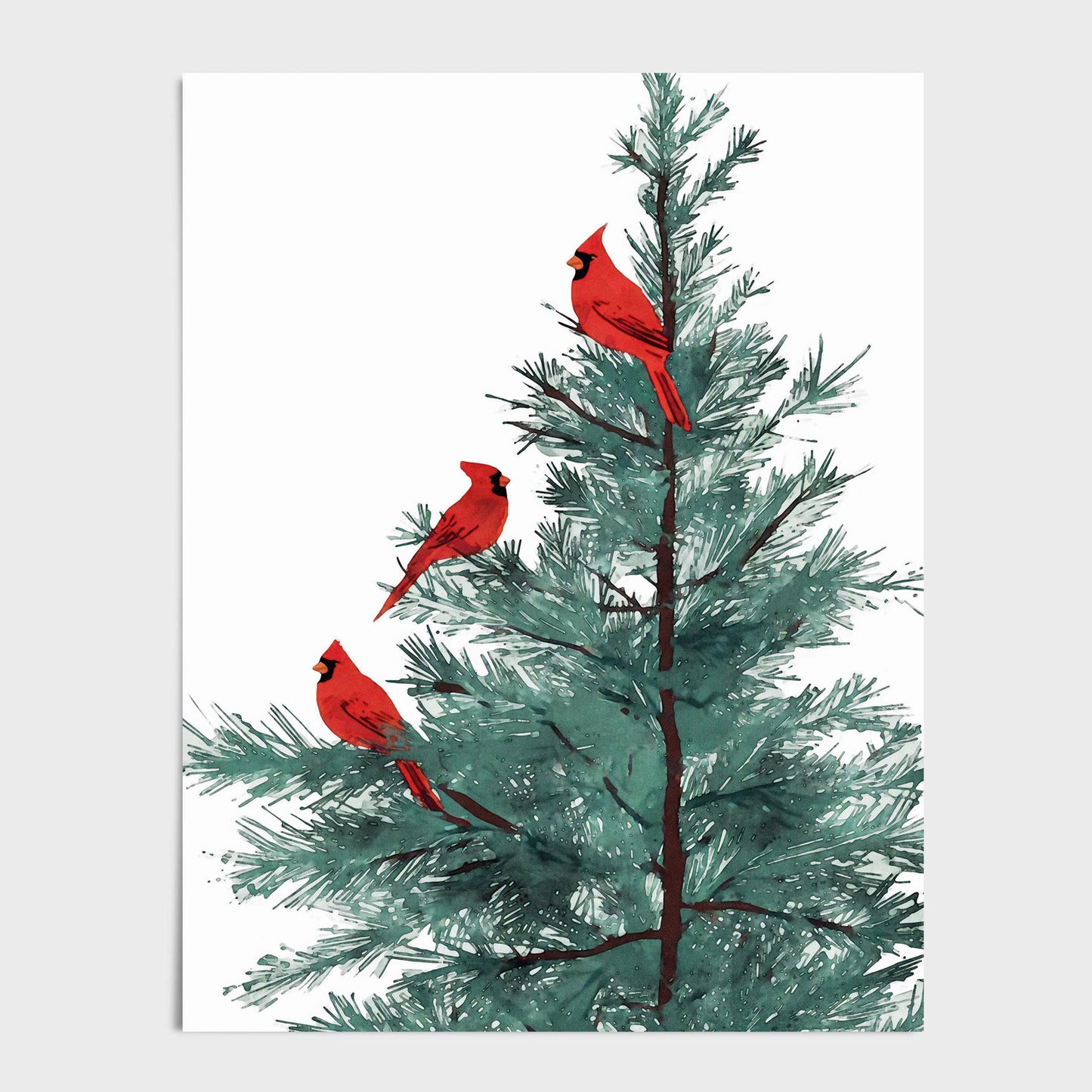 Art print featuring an illustration of three red cardinals perched on the branches of a pine tree, with green needles set against a clean white background.