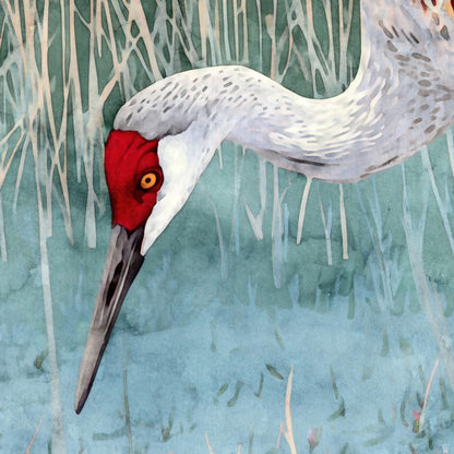 Close-up of a watercolor painting showing the head and neck of a sandhill crane. The bird has a vivid red crown, golden eye, and long pointed beak, with soft gray feathers blending into a marshy blue-green background of grasses.