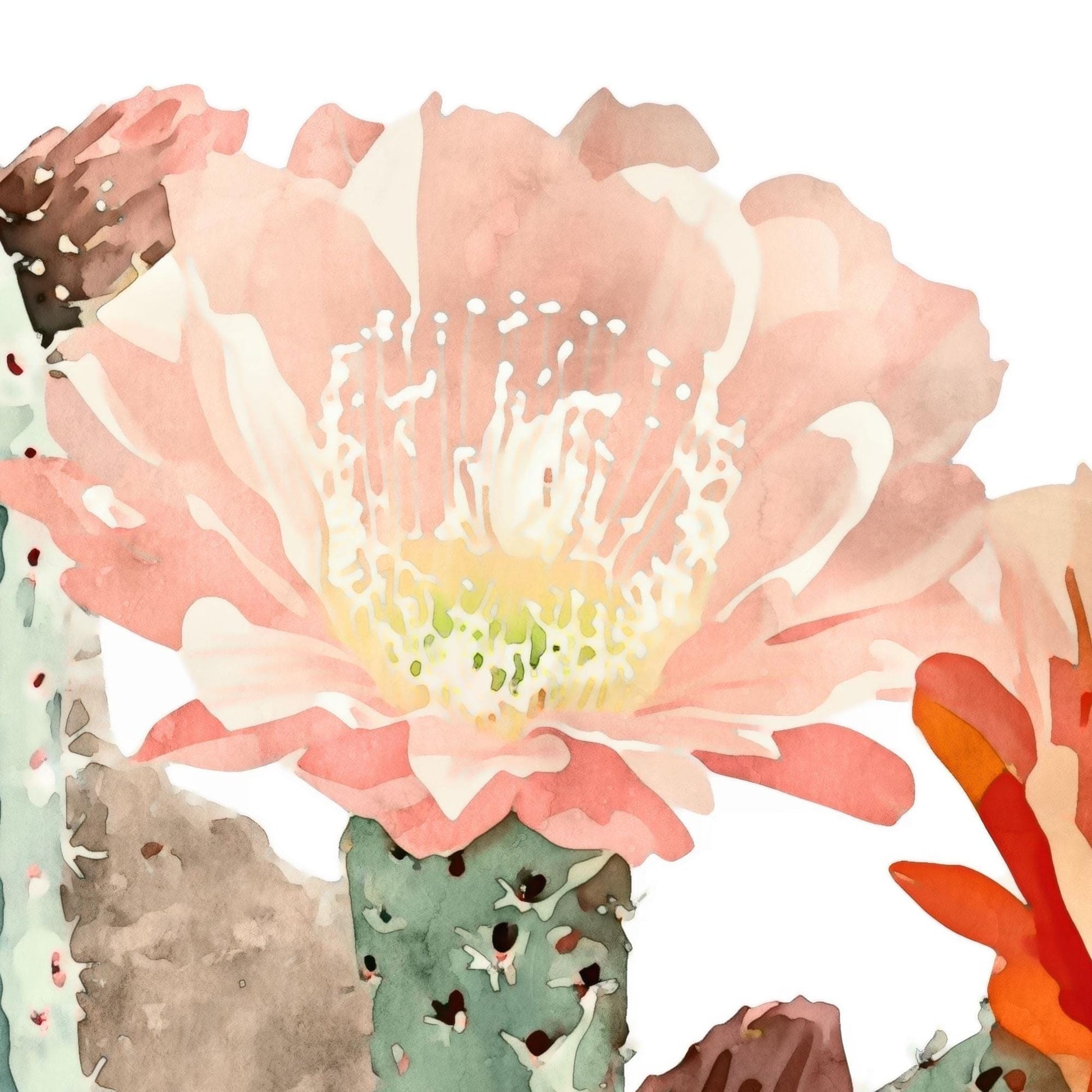 Close-up of a watercolor cactus bloom, featuring a soft peach-pink flower with delicate white stamens and a pale yellow-green center, painted in a loose, airy style.