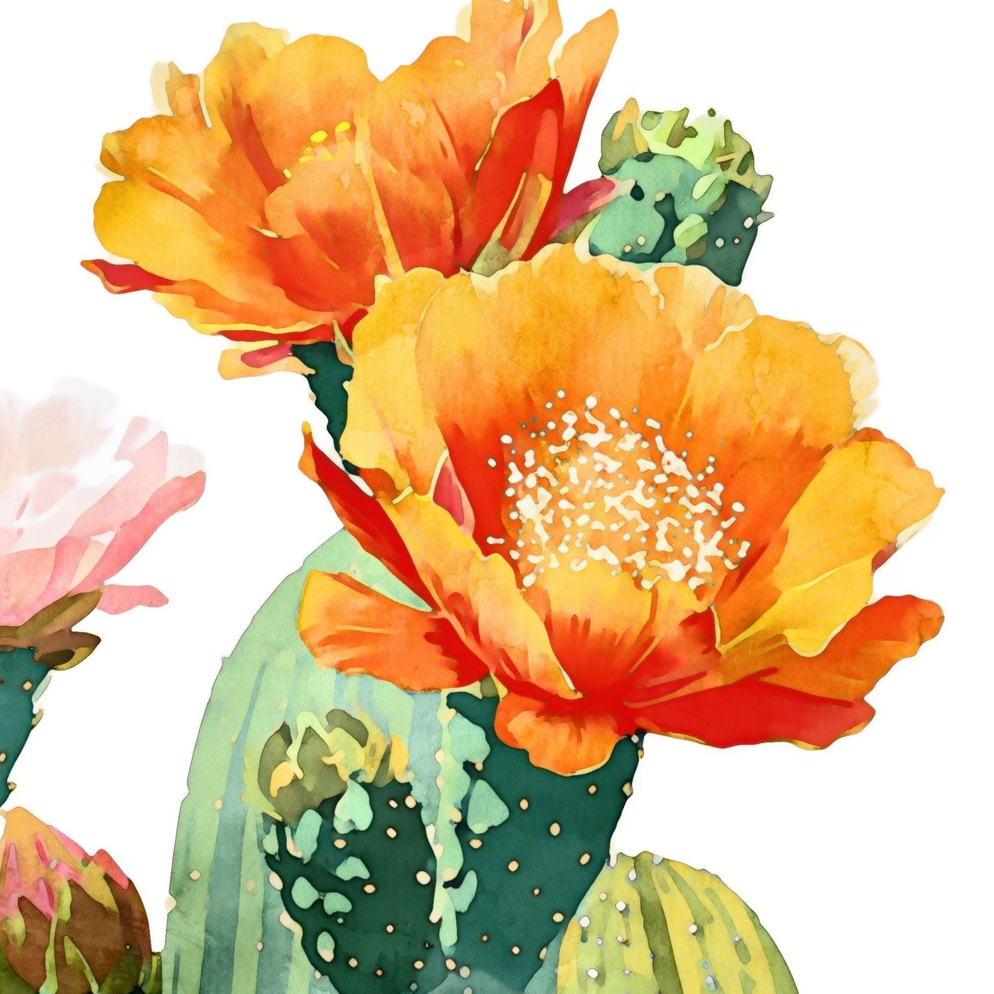 Close-up of a watercolor cactus painting showing vibrant orange and yellow blossoms with delicate white stamens, set against green cactus pads with dotted details on a white background.