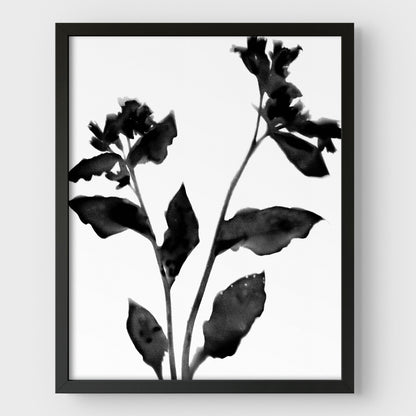Black and White Flower Silhouette II Print