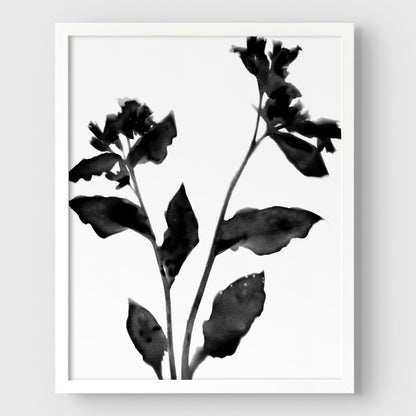 Black and White Flower Silhouette II Print
