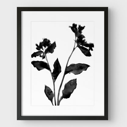 Black and White Flower Silhouette II Print