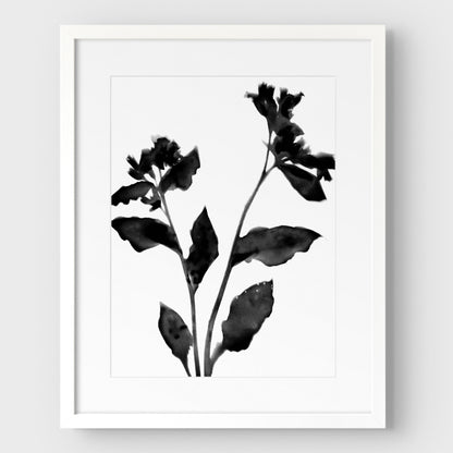 Black and White Flower Silhouette II Print
