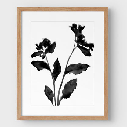Black and White Flower Silhouette II Print