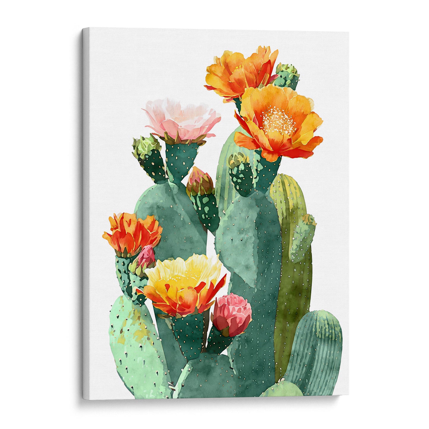 Southwest Flowering Cactus Watercolor Art Print