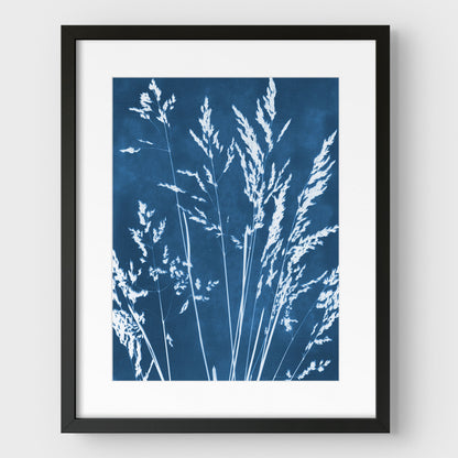 Wild Grasses Cyanotype - Vertical Print