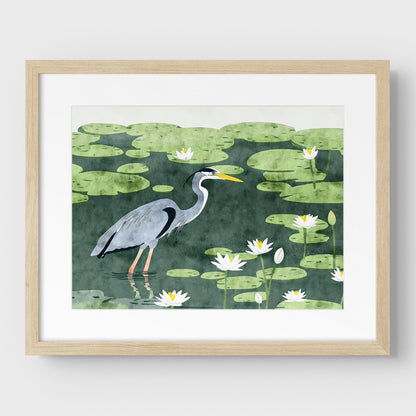 Great Blue Heron Art Print