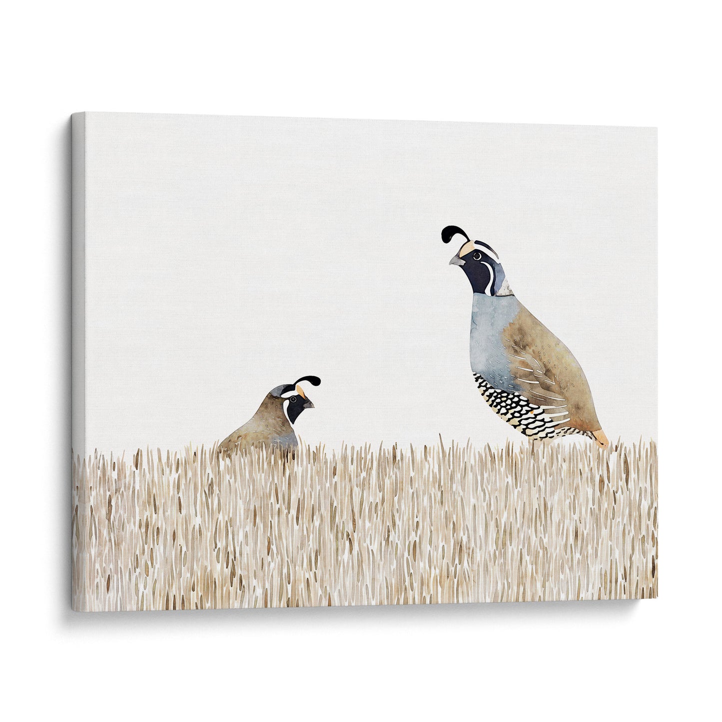 Minimalist California Quail Watercolor Print