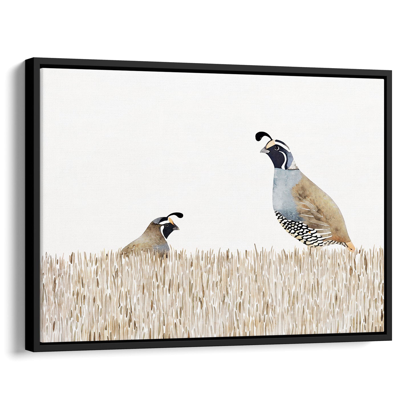 Minimalist California Quail Watercolor Print