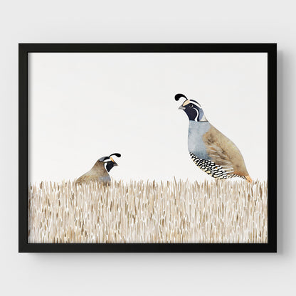 Minimalist California Quail Watercolor Print