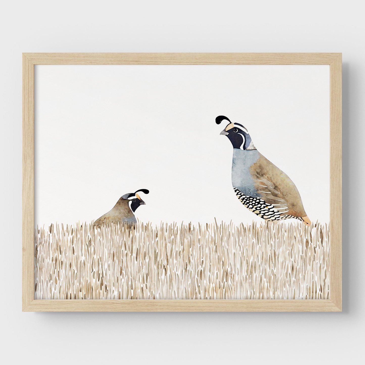 Minimalist California Quail Watercolor Print