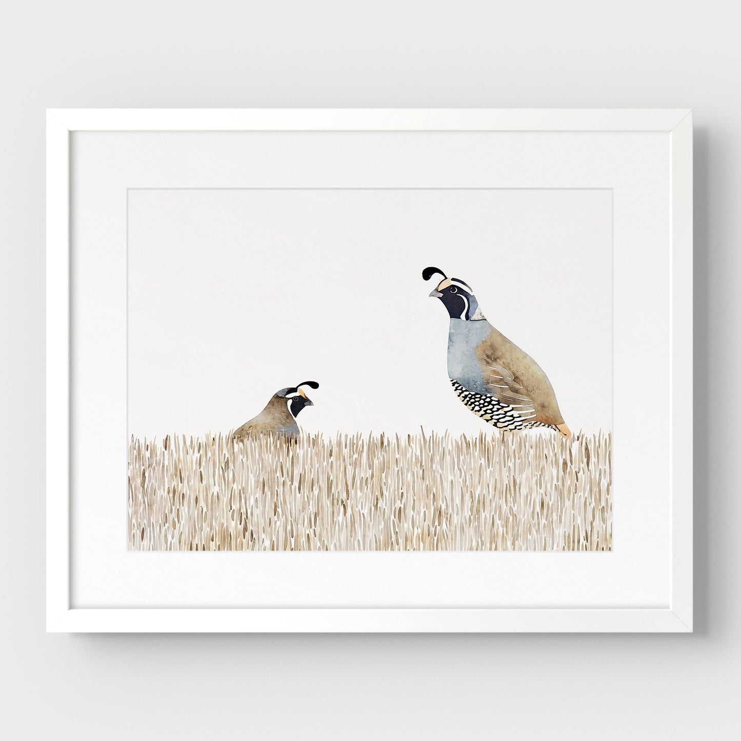 Minimalist California Quail Watercolor Print