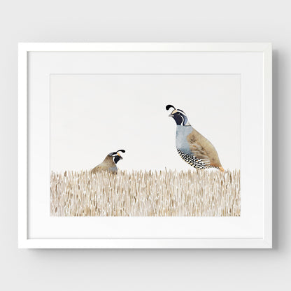 Minimalist California Quail Watercolor Print