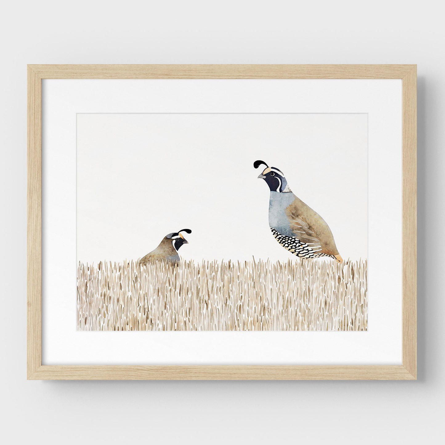 Minimalist California Quail Watercolor Print