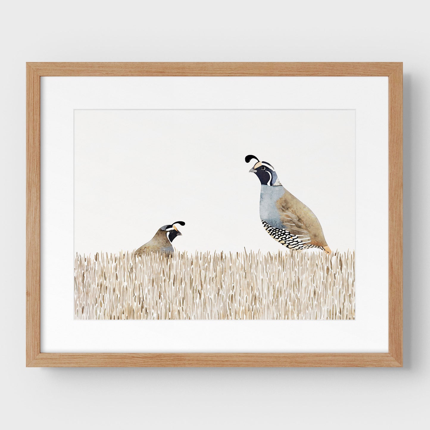 Minimalist California Quail Watercolor Print