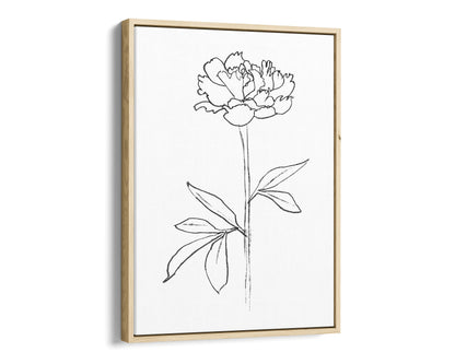 Minimalist black and white line drawing of a peony flower in a natural wood frame, printed on a white canvas background.