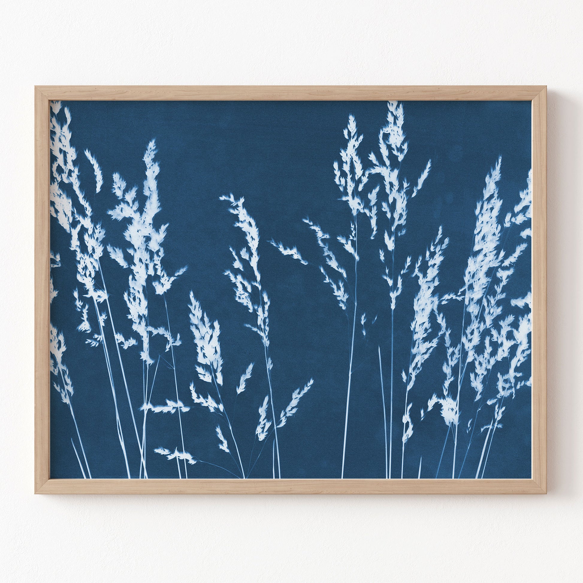 Framed artwork of white grasses on a blue background