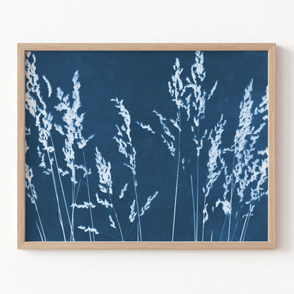 Framed artwork of white grasses on a blue background