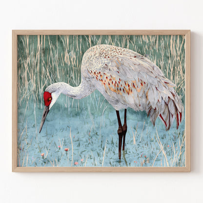 Framed artwork of a crane bird in a natural setting