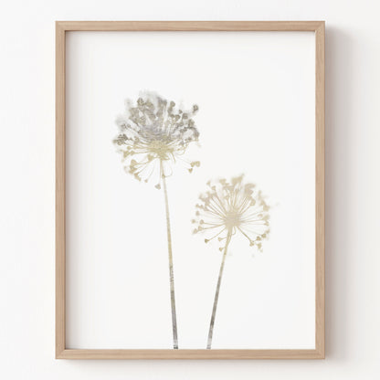 Framed artwork of two floral silhouettes on a white background