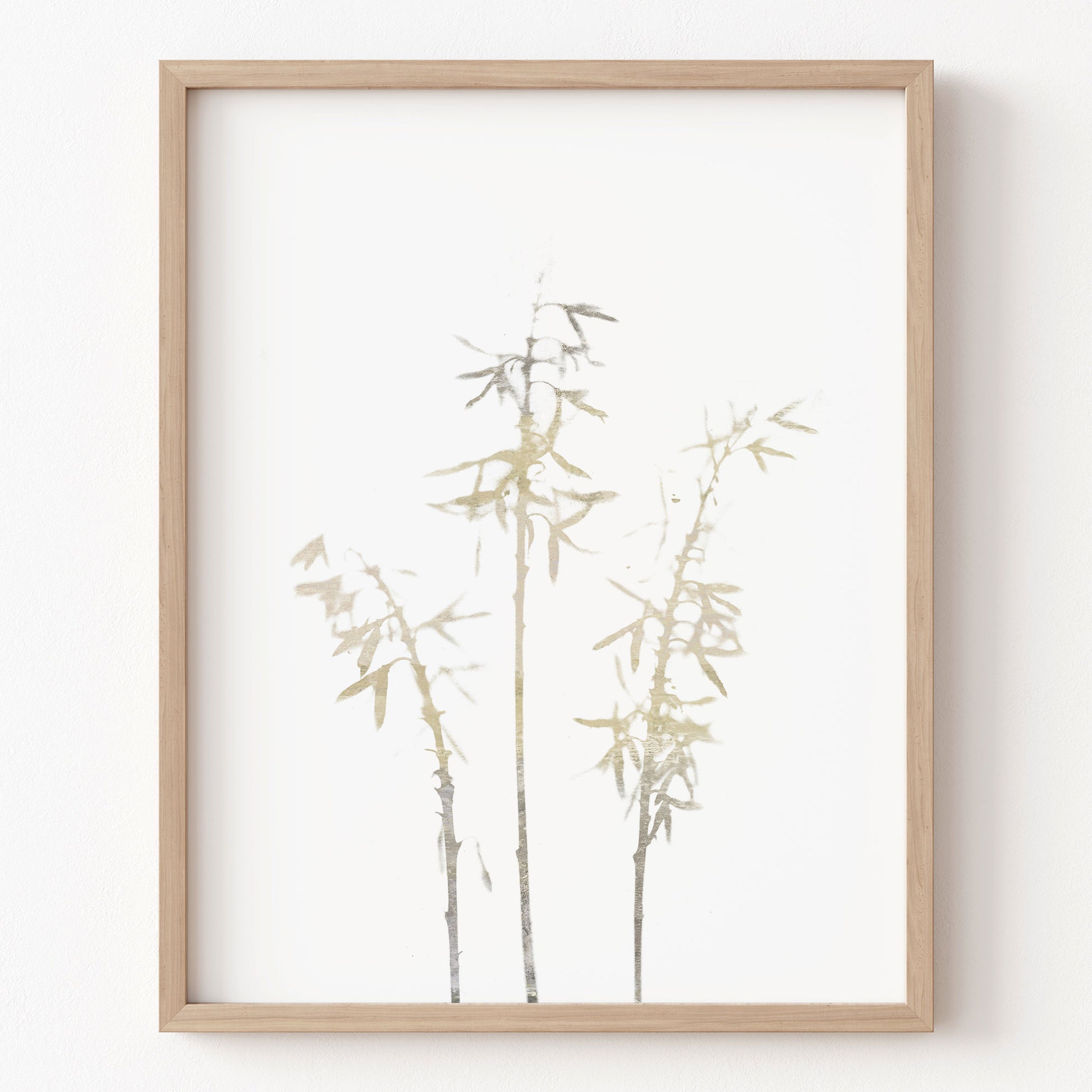 Framed artwork of bamboo on a white background
