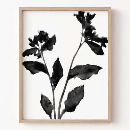 Framed artwork of black floral leaves on a white background