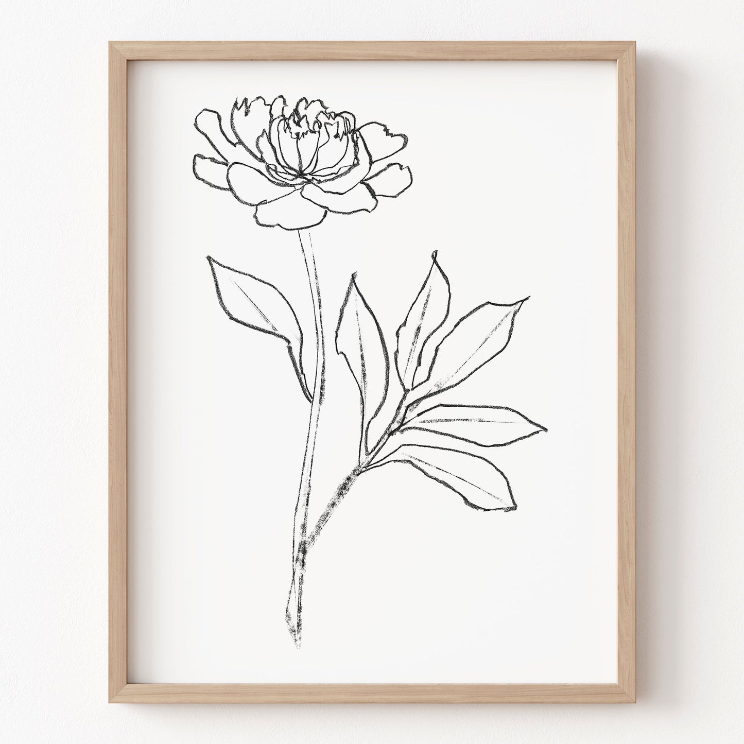 Framed line drawing of a flower on a white background