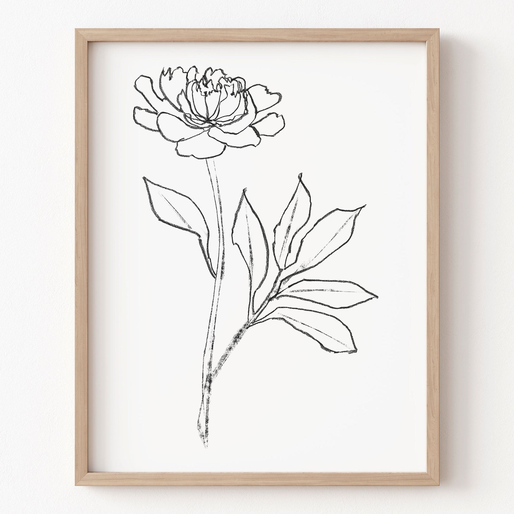 Framed line drawing of a flower on a white background