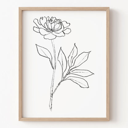 Framed line drawing of a flower on a white background