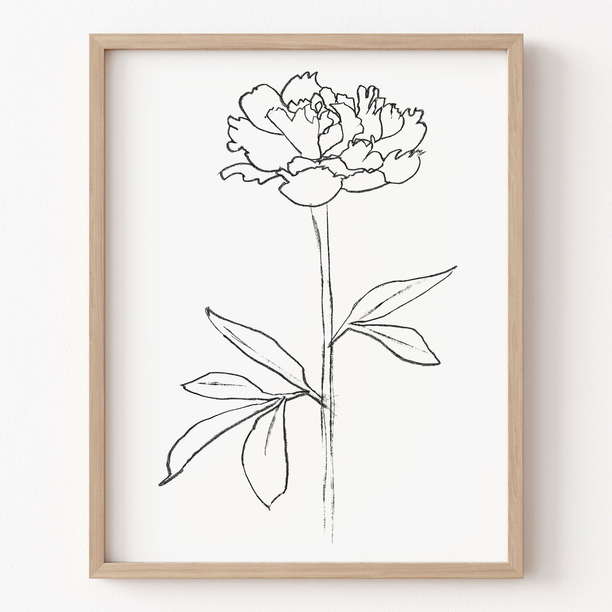 Framed line drawing of a flower on a white wall
