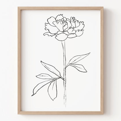 Framed line drawing of a flower on a white wall