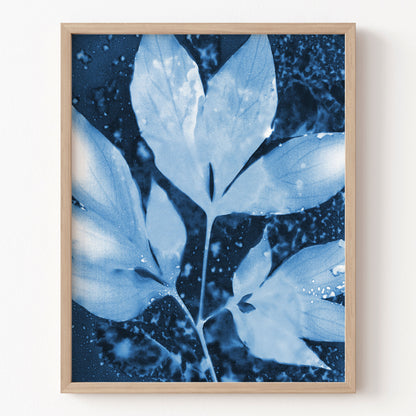 Framed artwork of blue leaves on a white wall