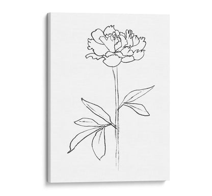 Minimalist black and white line drawing of a peony flower printed on a stretched canvas with a white background.