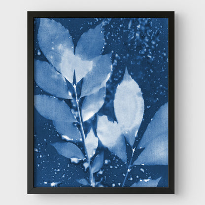 Moody Leaves Cyanotype Print