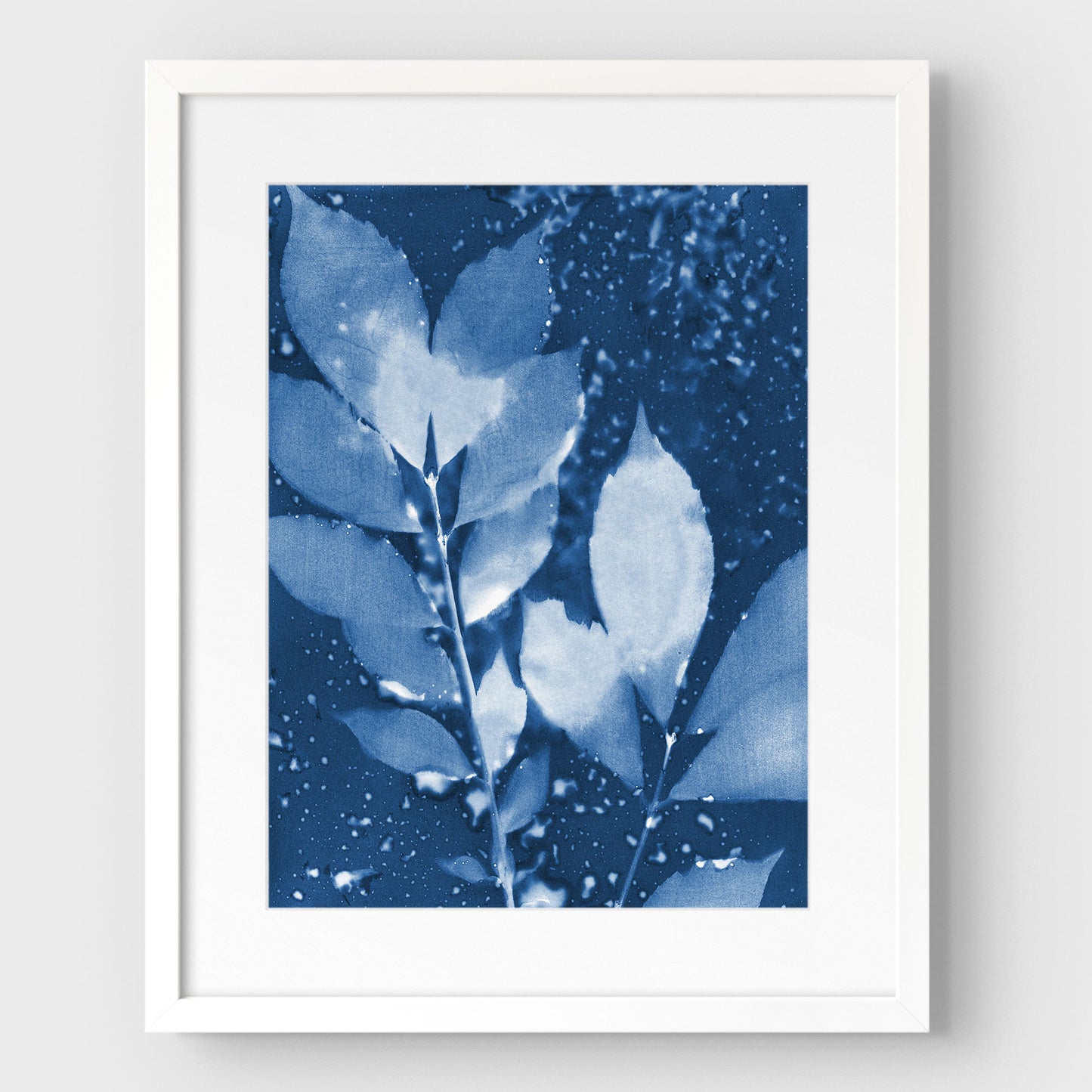Moody Leaves Cyanotype Print