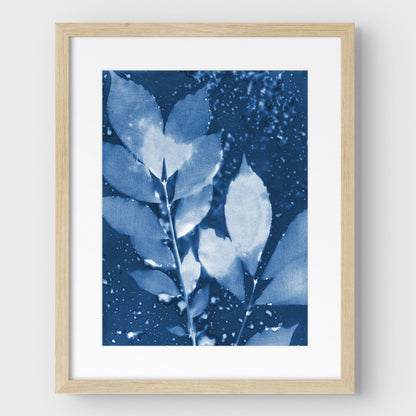 Moody Leaves Cyanotype Print