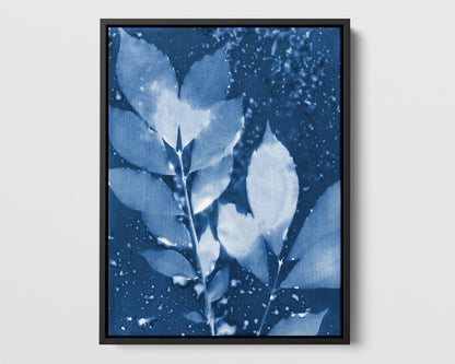 Moody Leaves Cyanotype Print