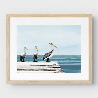 Pelicans on a Pier Print