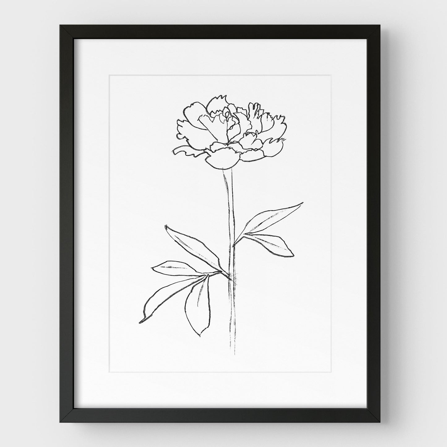 Peony II Print