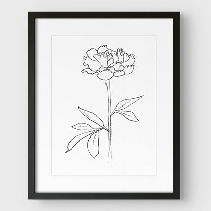Peony II Print