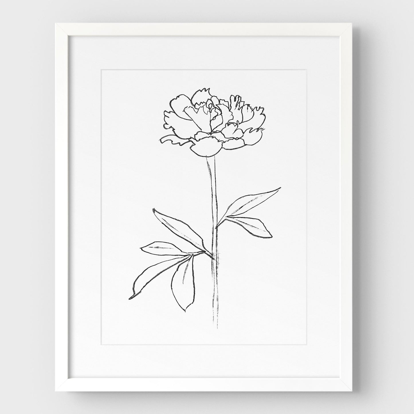 Peony II Print