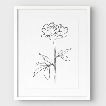 Peony II Print