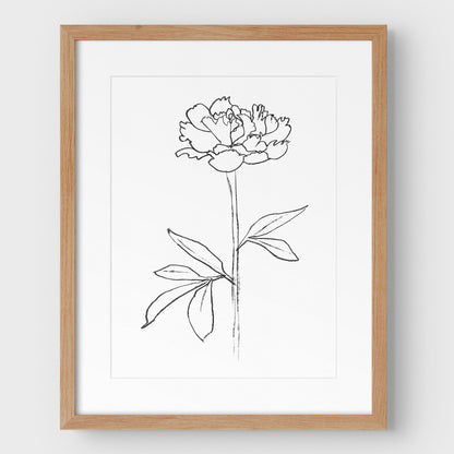 Peony II Print