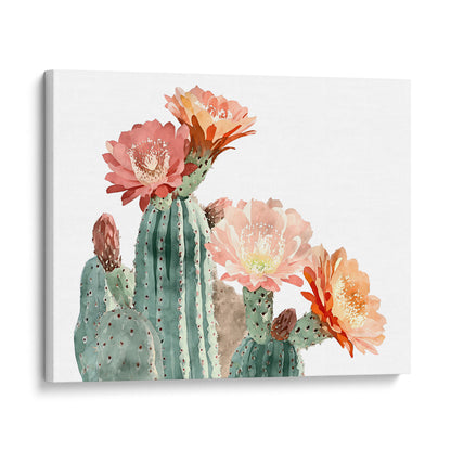 Peach Coral Cactus Flower Print