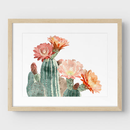 Peach Coral Cactus Flower Print