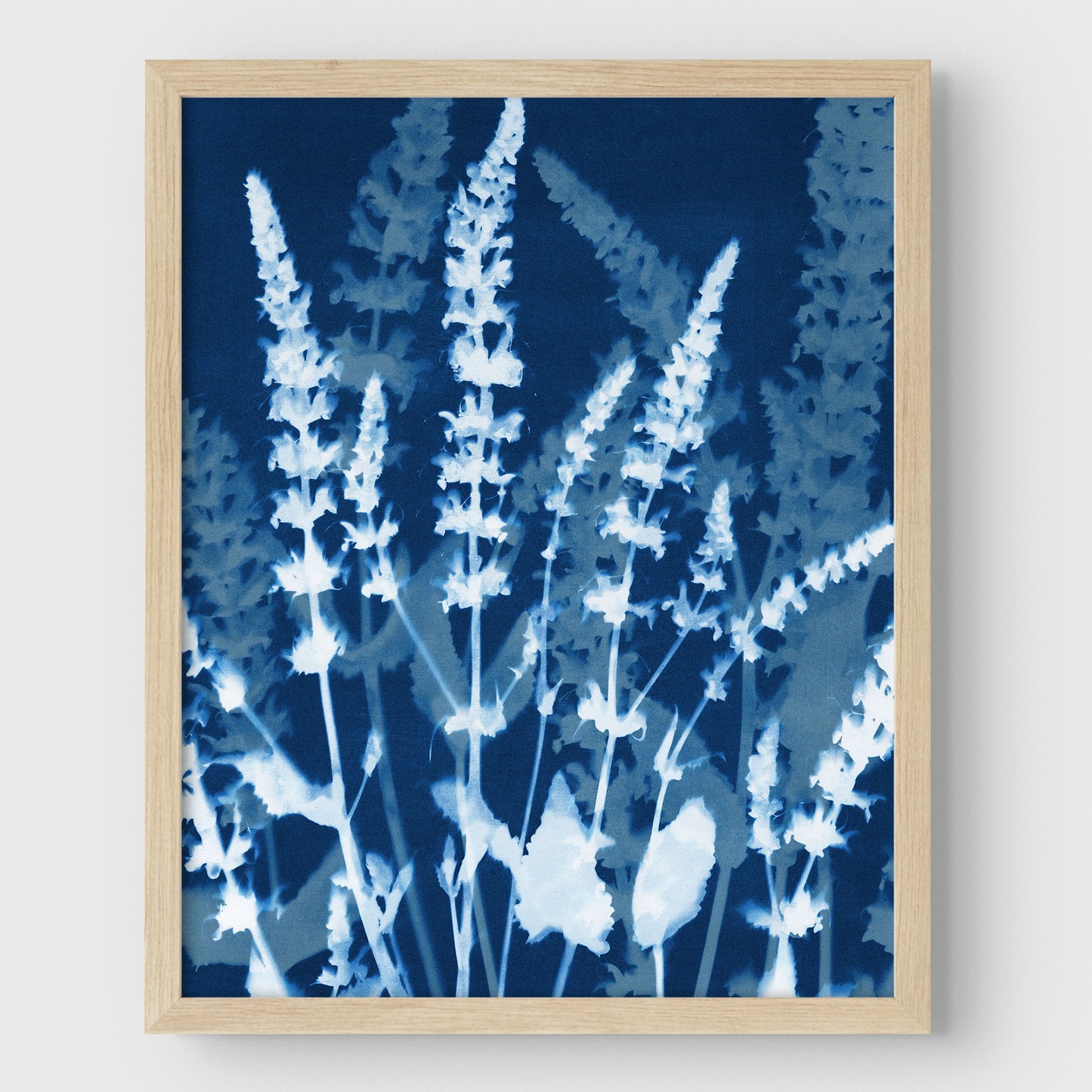 Salvia Cyanotype Print