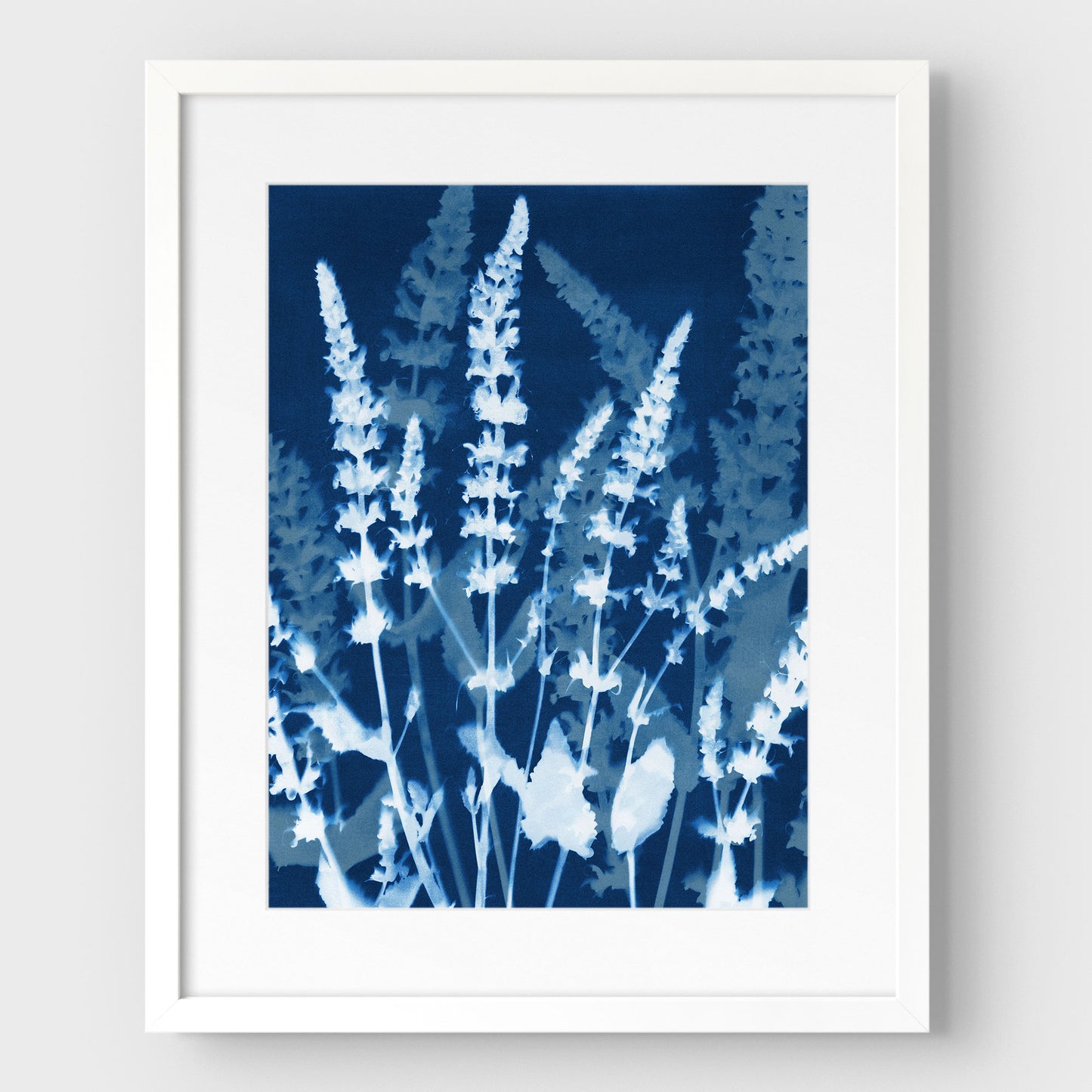 Salvia Cyanotype Print