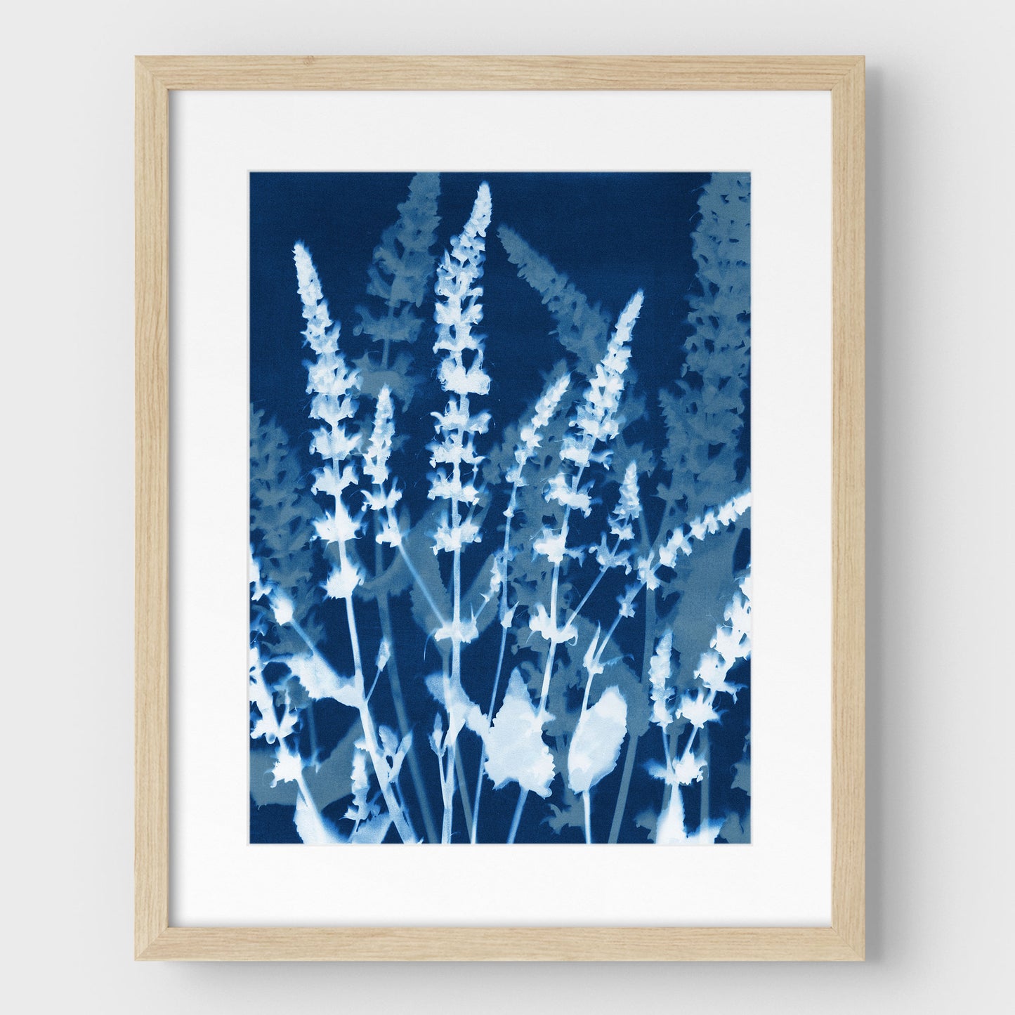 Salvia Cyanotype Print